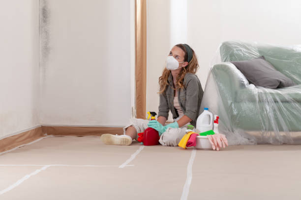 Reliable Commercial Mold Remediation contractor in Kennesaw, GA by WQB Mold Removal